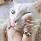 Каблучка Ніс кота